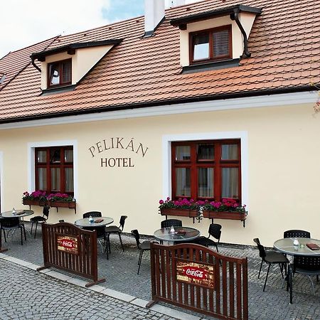 Hotel Pelikan Тршебонь Екстер'єр фото